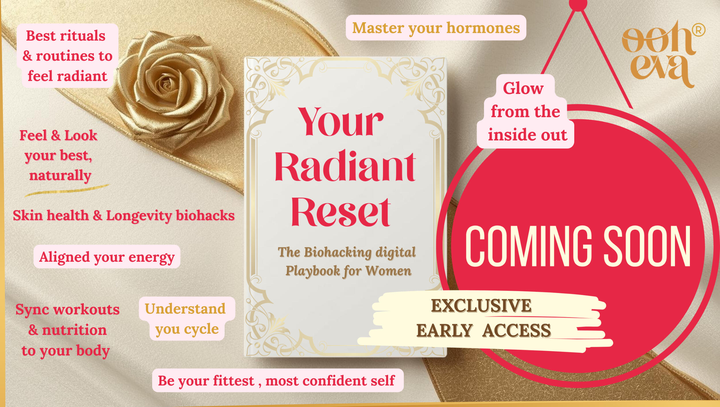 Exclusive Launch Discount